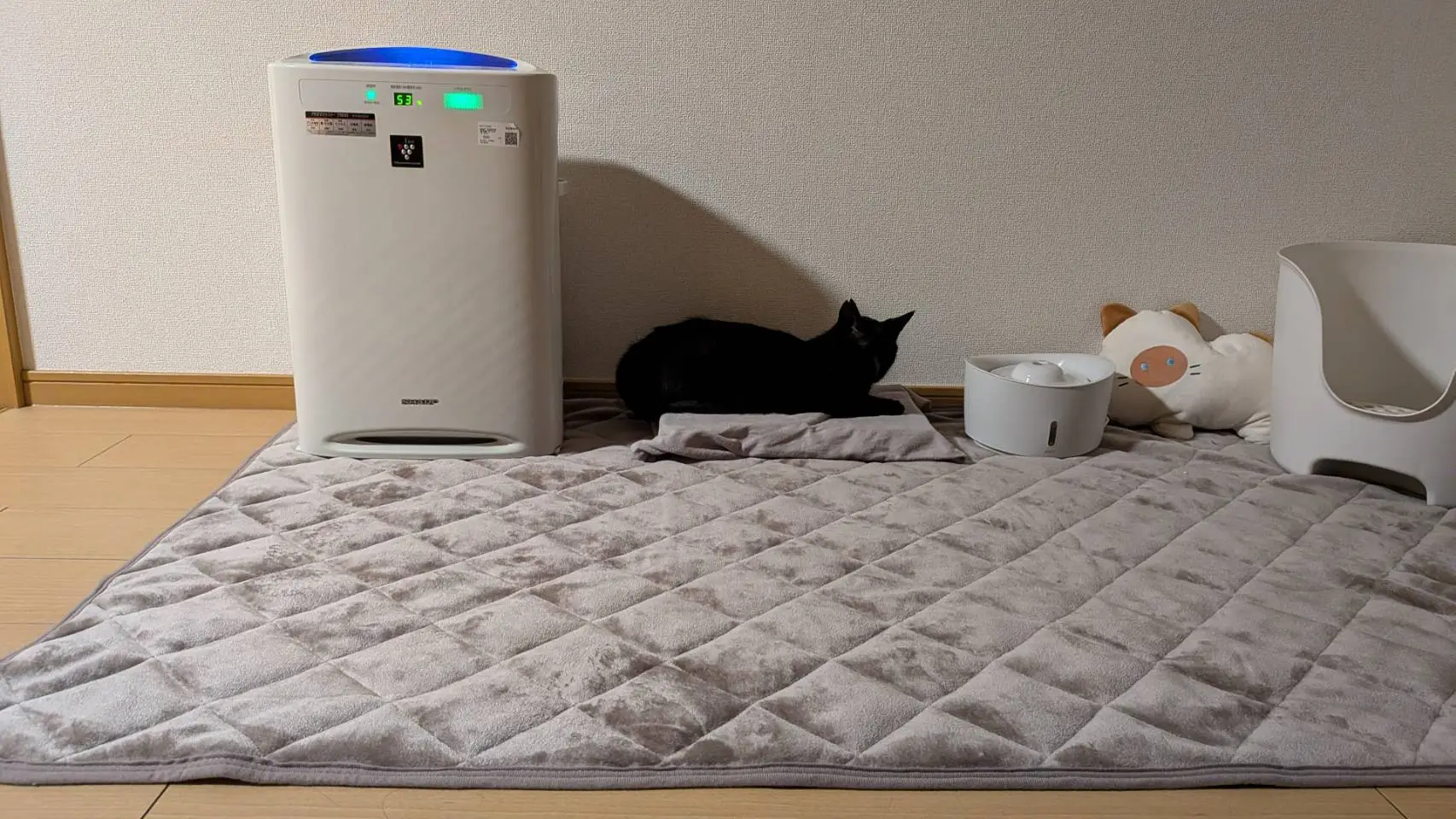 記事画像