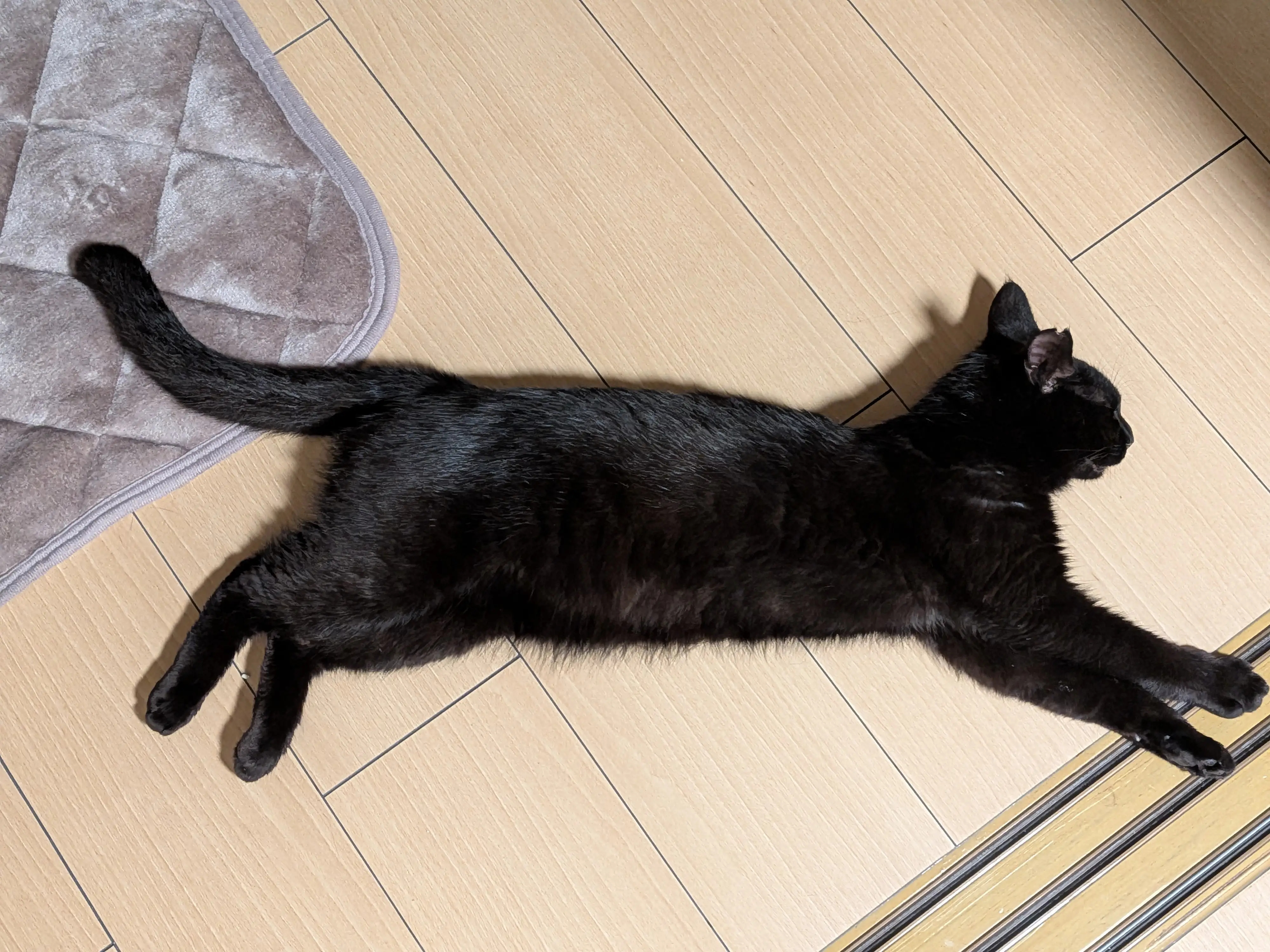 記事画像