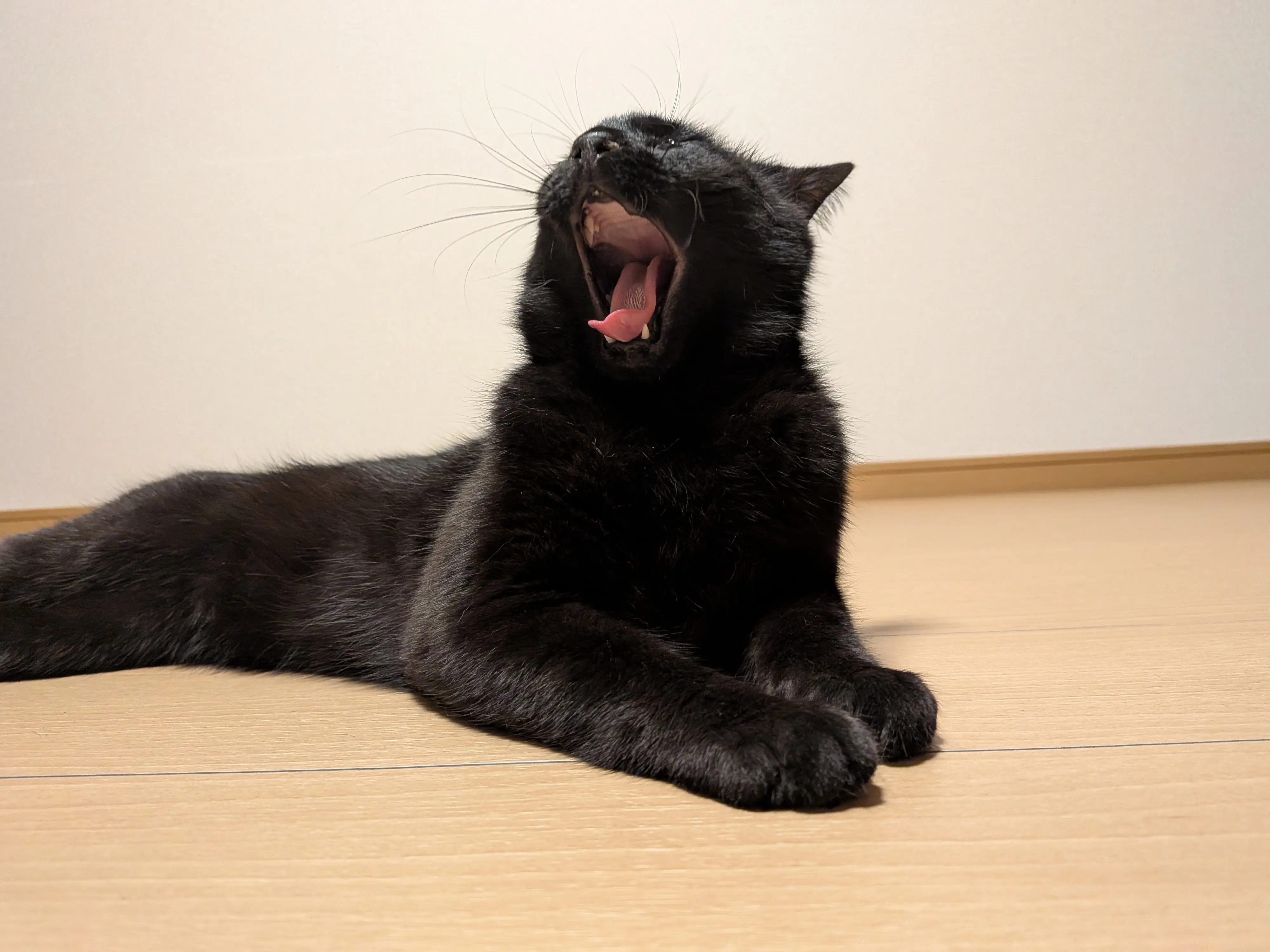 記事画像