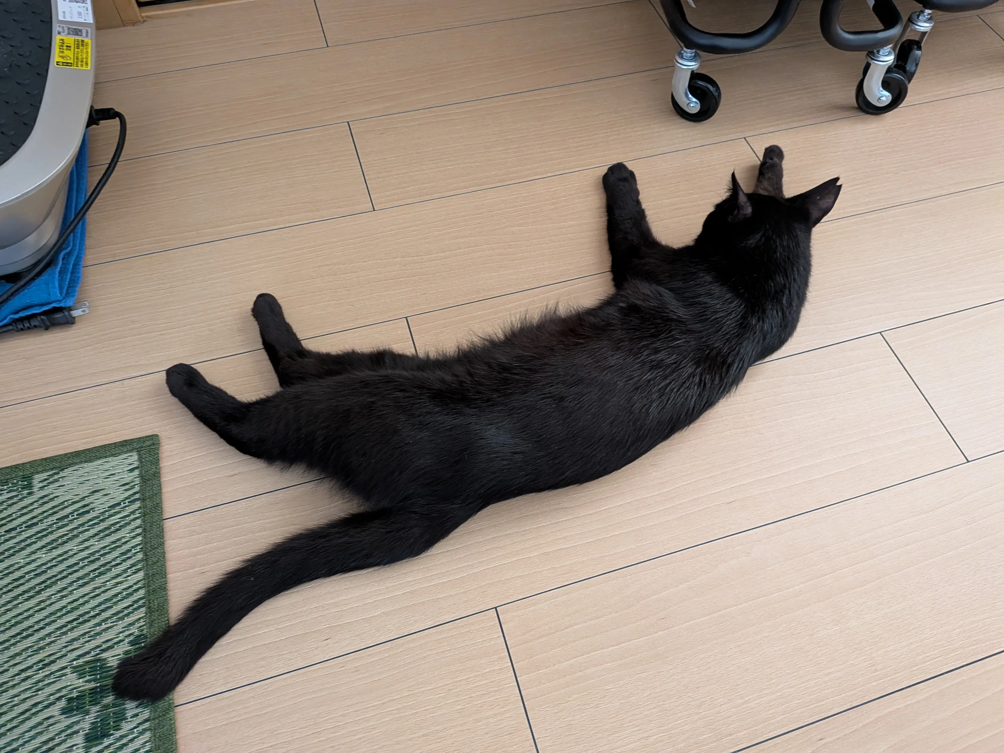 記事画像